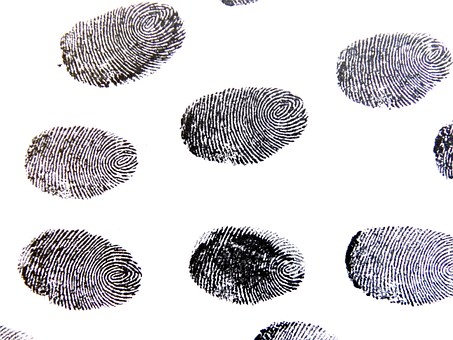 fingerprint-456486__340.jpg